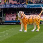 Una tigre volante sullo stadio San Paolo di Napoli